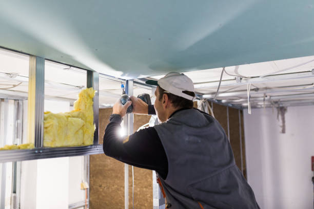 Best Cellulose Insulation in Granville South, OH