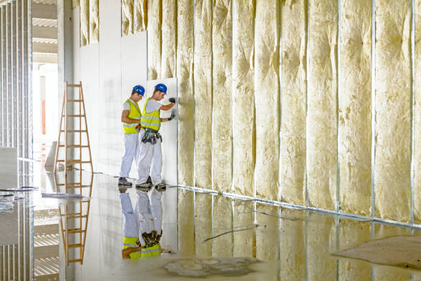 Best Eco-Friendly Insulation in Granville South, OH